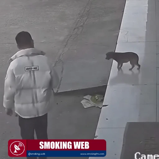 Intento Fallido: Hombre Cae Aparatosamente Tras Acosar a un Perro Cerca de un Comercio