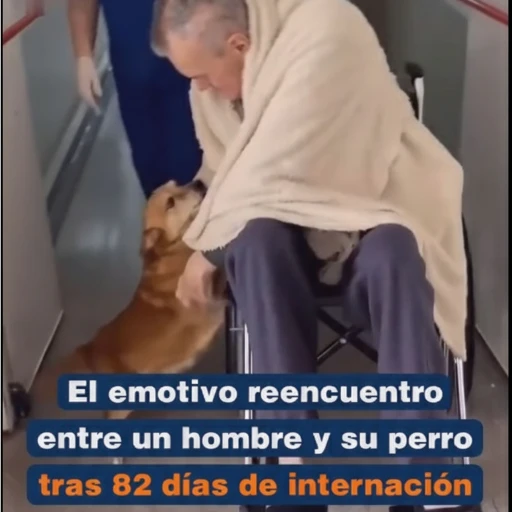 Abrazo que Sana: Reencuentro Viral Entre Miguel y su Perro Simón Tras 82 Días de Hospitalización