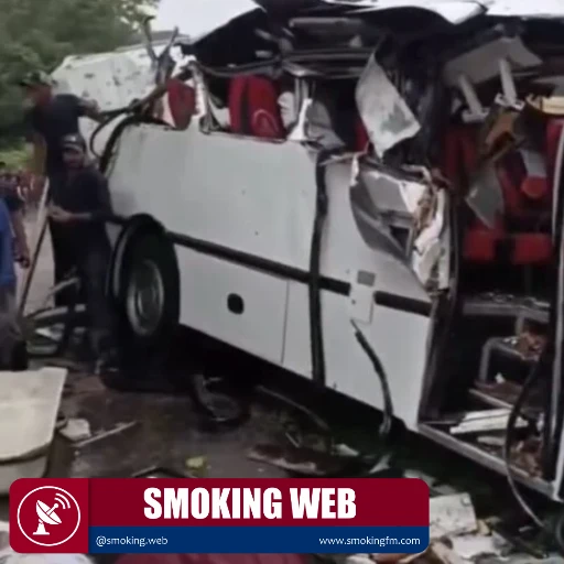 Tragedia en la troncal 19: un árbol cae sobre autobús y deja cuatro muertos y once heridos en Táchir
