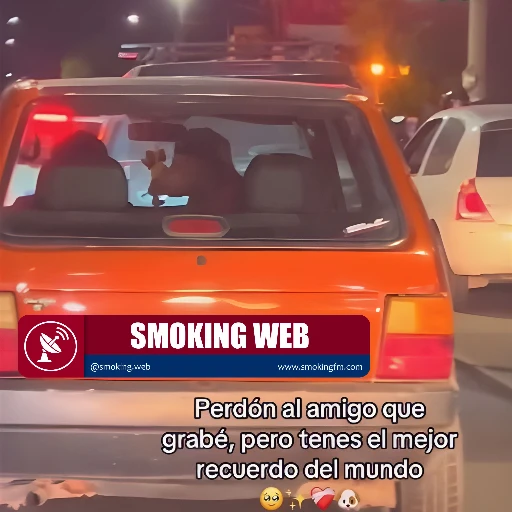 Fidelidad al Volante: Video Viral Muestra Perro Observando a su Dueño con 'Puro Amor' Durante un Pas