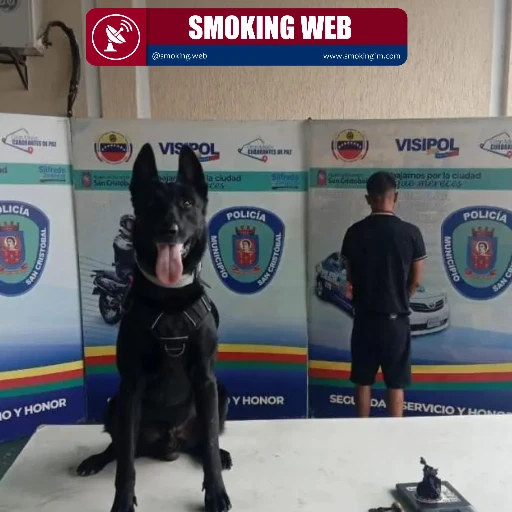 Operativo en el Terminal: El oficial canino "Dark" frustra tráfico de estupefacientes en San Cristób