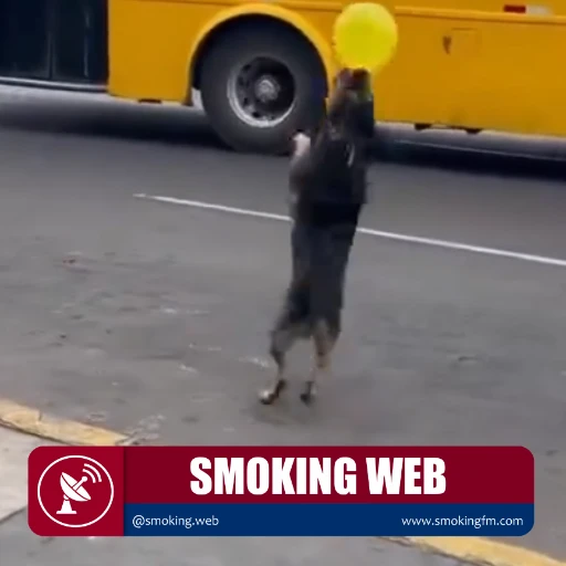 Alegría desbordante en la vía pública