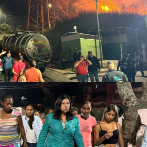 Órganos de inteligencia del Estado iniciarán investigación por incendios forestales en Caracas