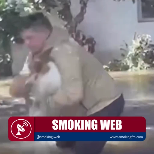 Héroe sin capa: periodista rescata a perrito arrastrado por la corriente