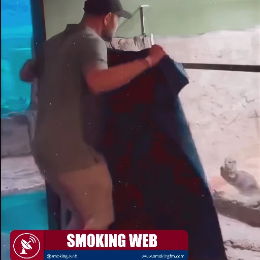 Vínculo Inquebrantable: Nutria Cae en Depresión por Ausencia de Cuidador y Se Niega a Soltarlo al Re