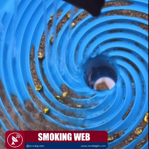 ¿Cómo se busca oro en los ríos? 🌊✨